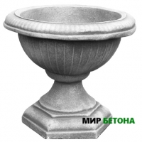 ����� ���� �������