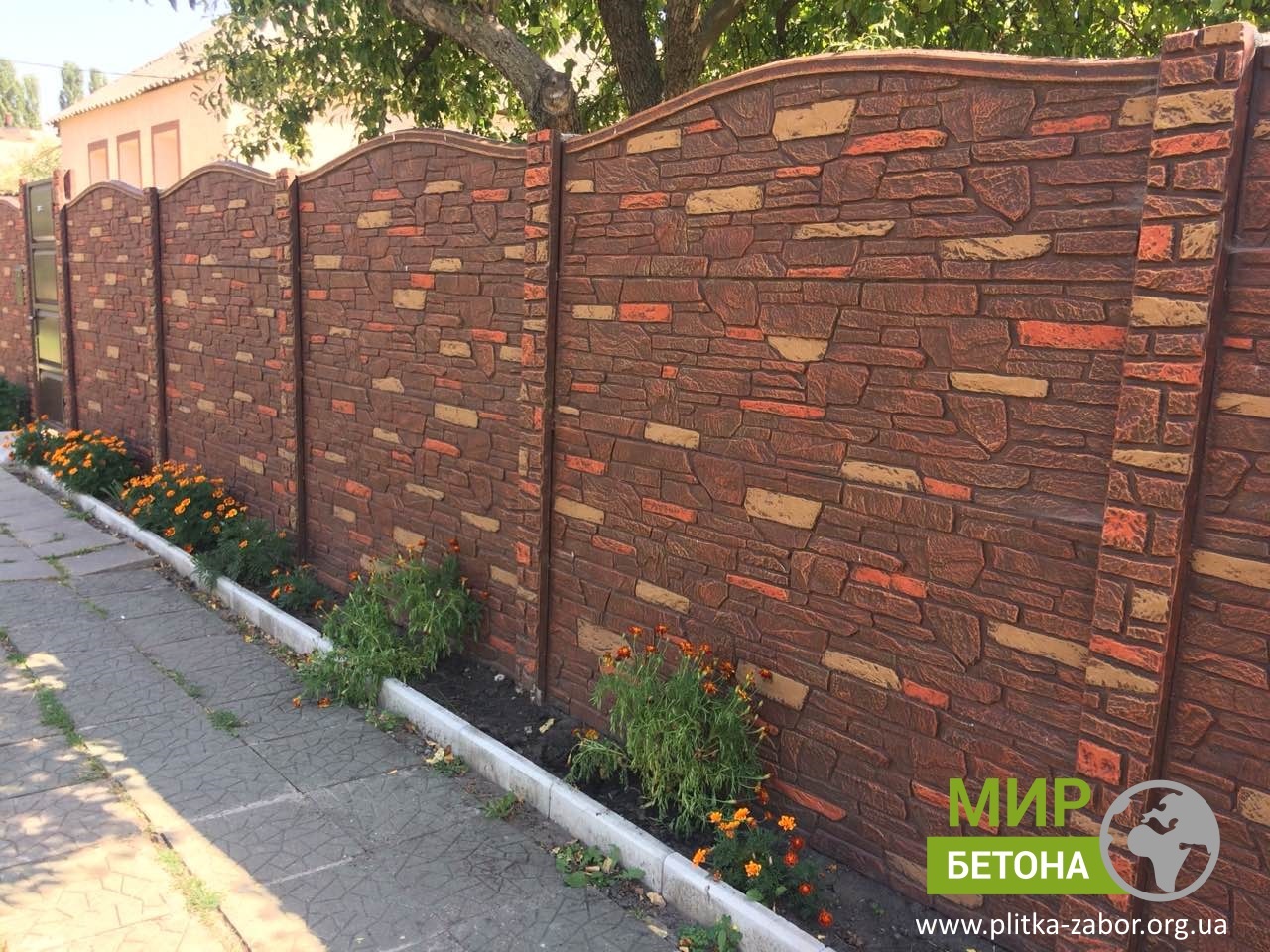 ��������� ������ ������