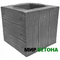 ����� ����� �������� �12