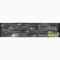 ����� ��������