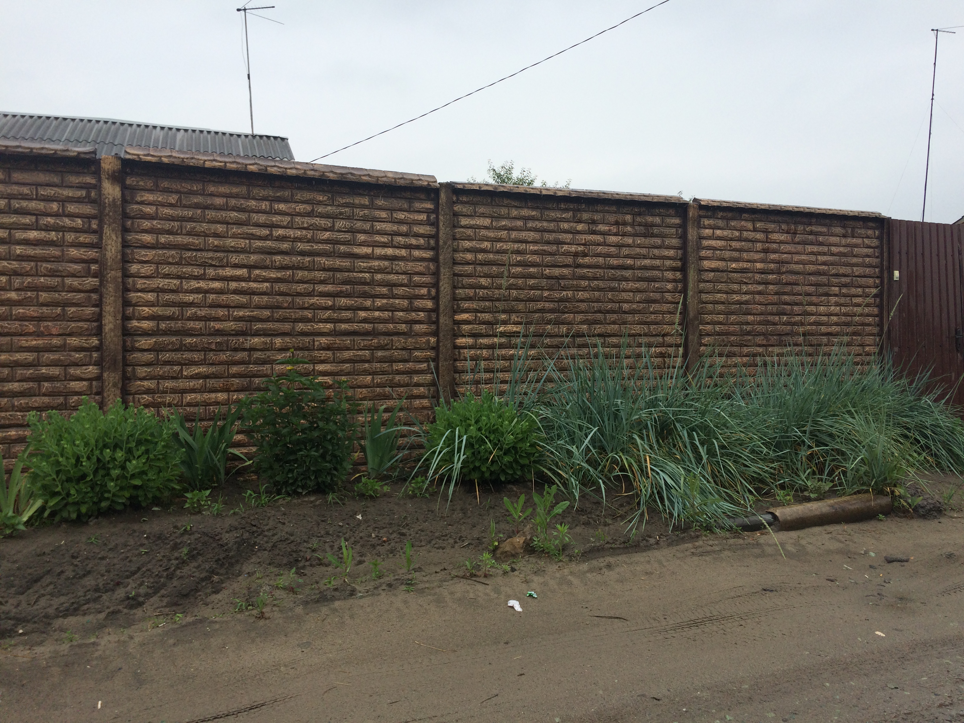 ����� ����� ������