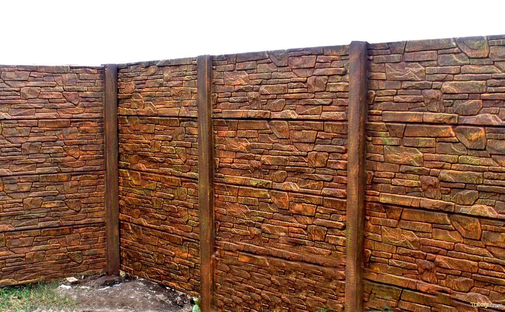 ���� ����� �������