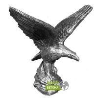 ����� ���� �����