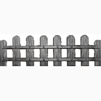 ����� ��������� ����