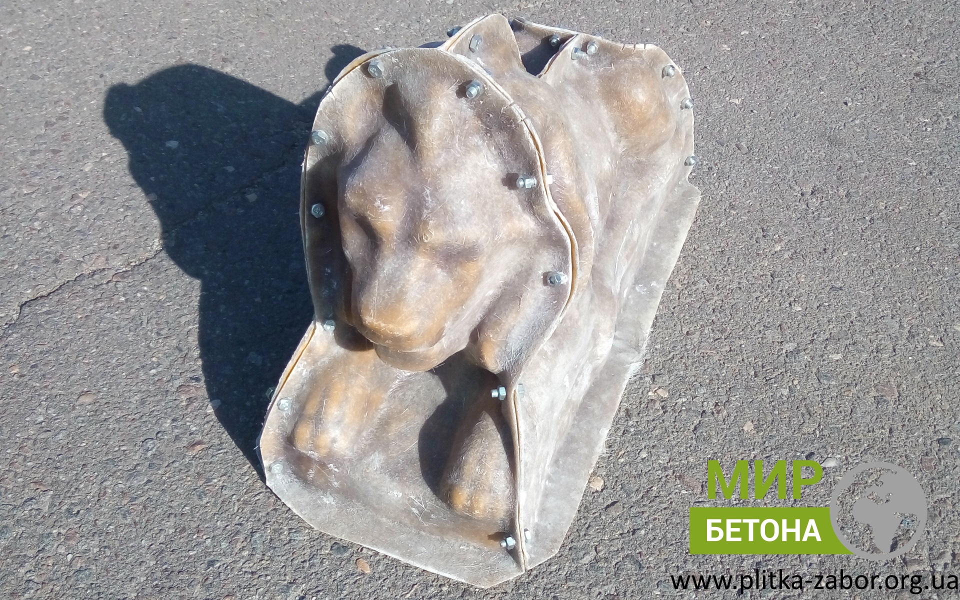 ������ ����� ���� ������ ����