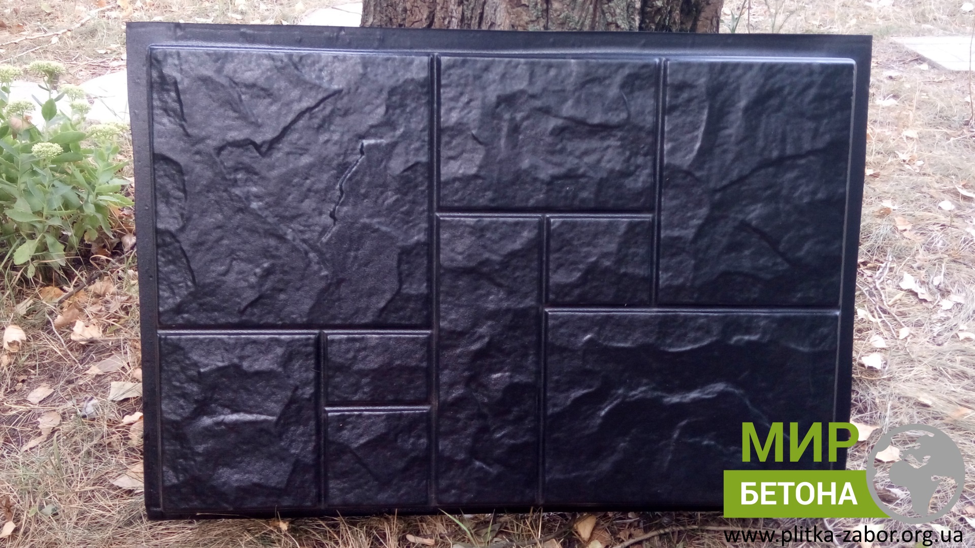 ����� ��� ���������� ������� ������